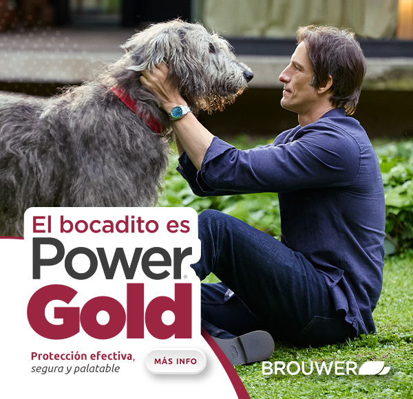 LAT – BROUWER – ENE