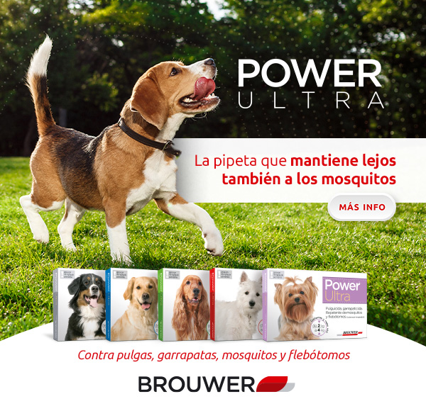 MR – BROUWER – FEB