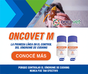 MR – CHEMOVET – MAY JUN