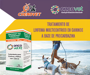 MEDIUM RECTANGLE – CHEMOVET – ONCOVET PZ – JUL/AGO26