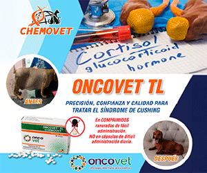 MR – CHEMOVET – SEP OCT