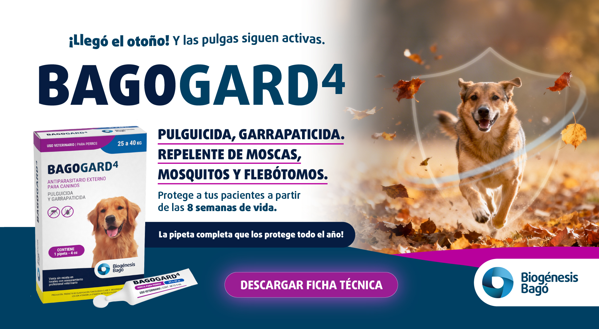 INTERSTITIAL – BIO BAGO – ABRIL