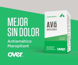 OVER  – AVO – MNV – MEDIUM RECTANGLE  MNV  – JUN26