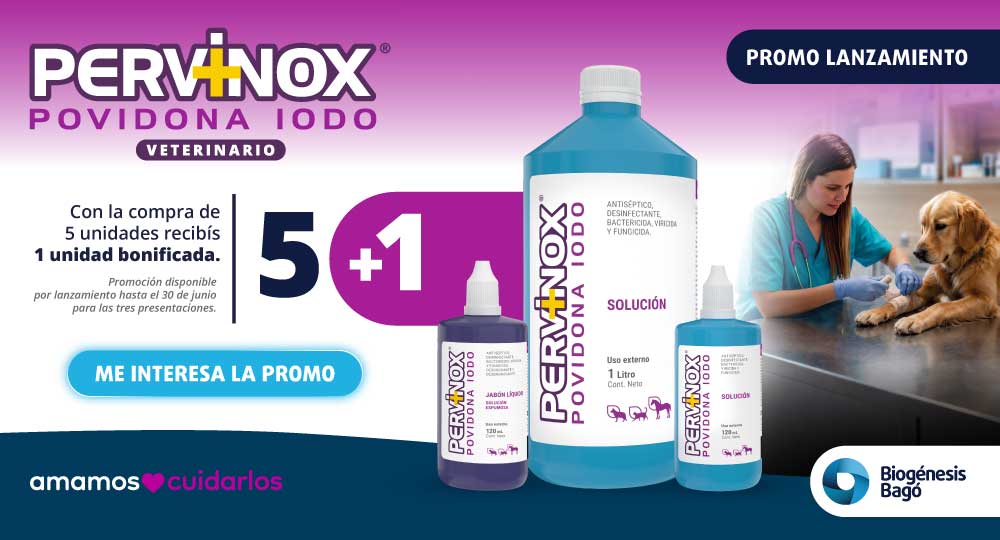 INTERSTITIAL – BIO BAGÓ – JUN26