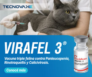 MEDIUM RECTANGLE – TECNOVAX – VIRAFEL3 – JUL26