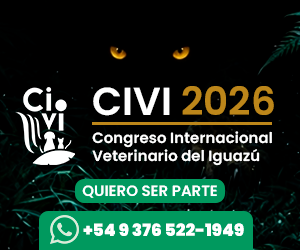 MEDIUM RECTANGLE – CIVI – CONGRESO – JUL26