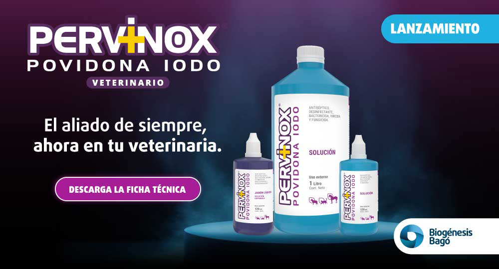 INTERSTITIAL – BIO BAGÓ – PERVINOX – JUL26