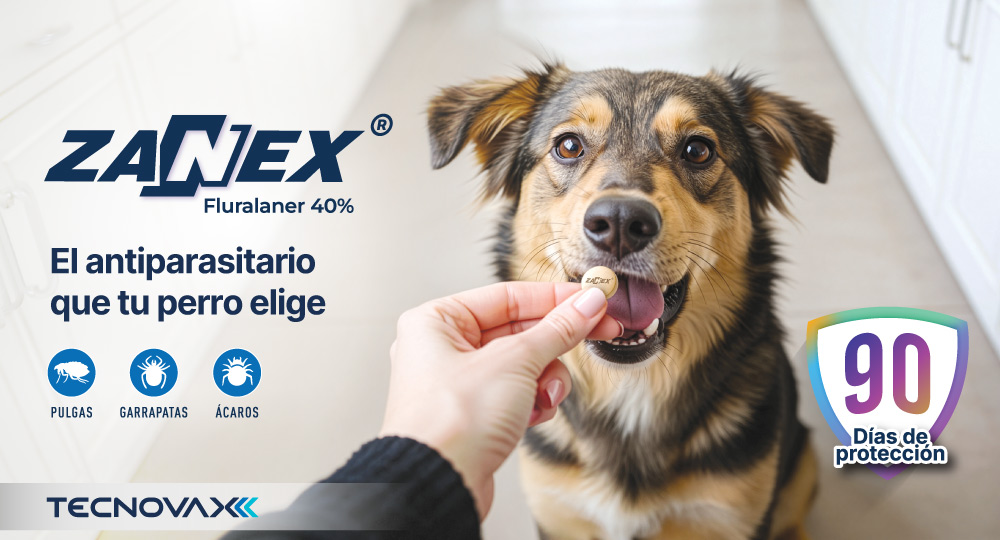 TECNOVAX – ZANEX – MNV – INTERSTITIAL MNV – AGO26