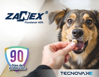TECNOVAX  – ZANEX – MNV – MEDIUM RECTANGLE  MNV  – AGO26