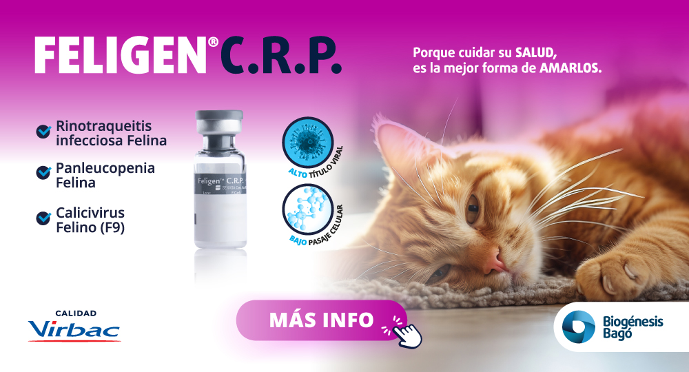 BIO BAGÓ PA – FELIGEN – MNV – INTERSTITIAL MNV – AGO26